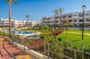Palmera, San Juan De Los Terreros
